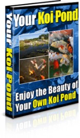 Your own Koi Pond the Audio Book